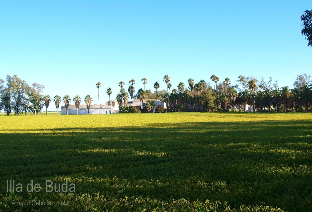 Villa Paquita - Delta De L'Ebre Deltebre Luaran gambar