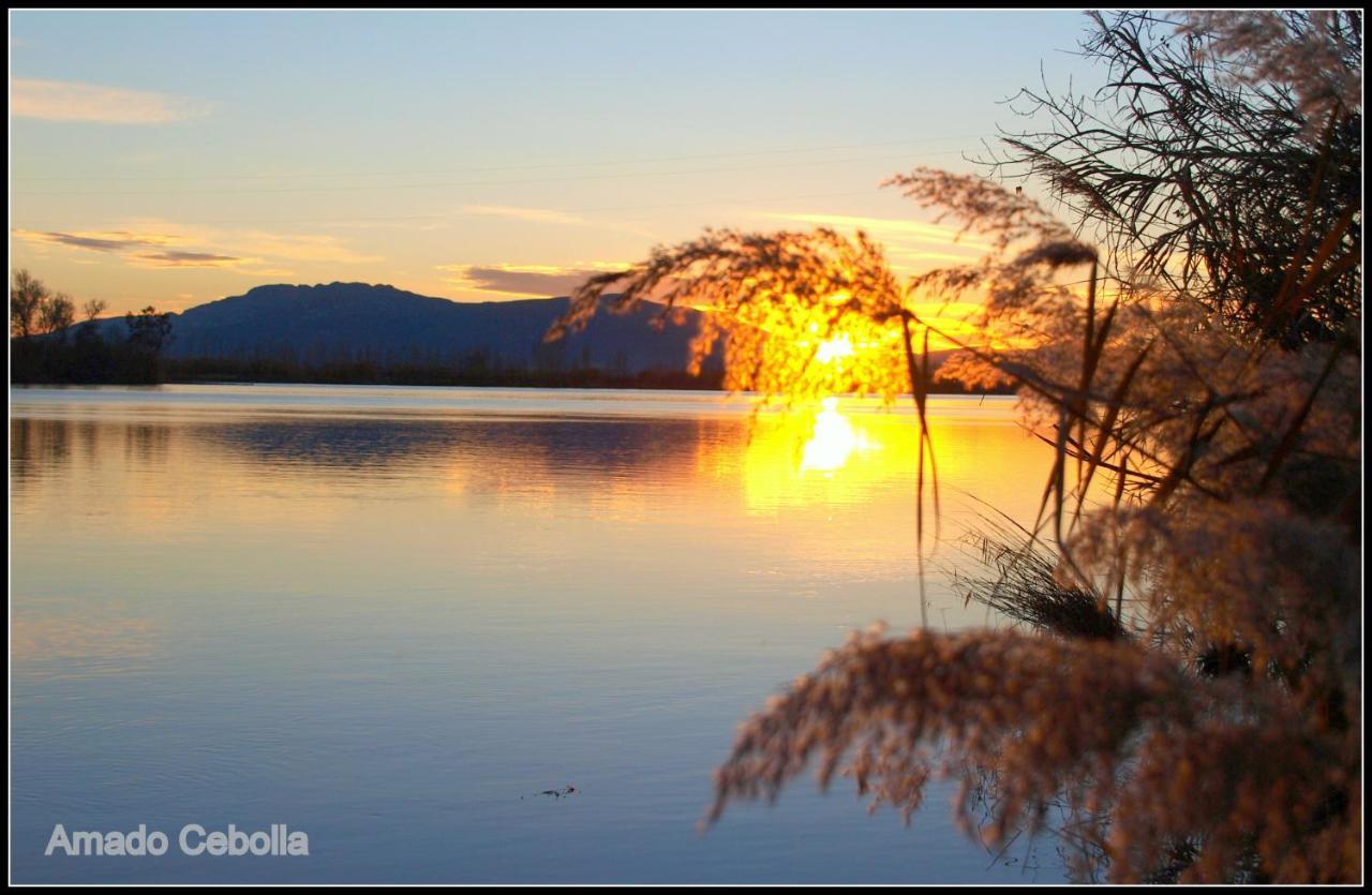 Villa Paquita - Delta De L'Ebre Deltebre Luaran gambar