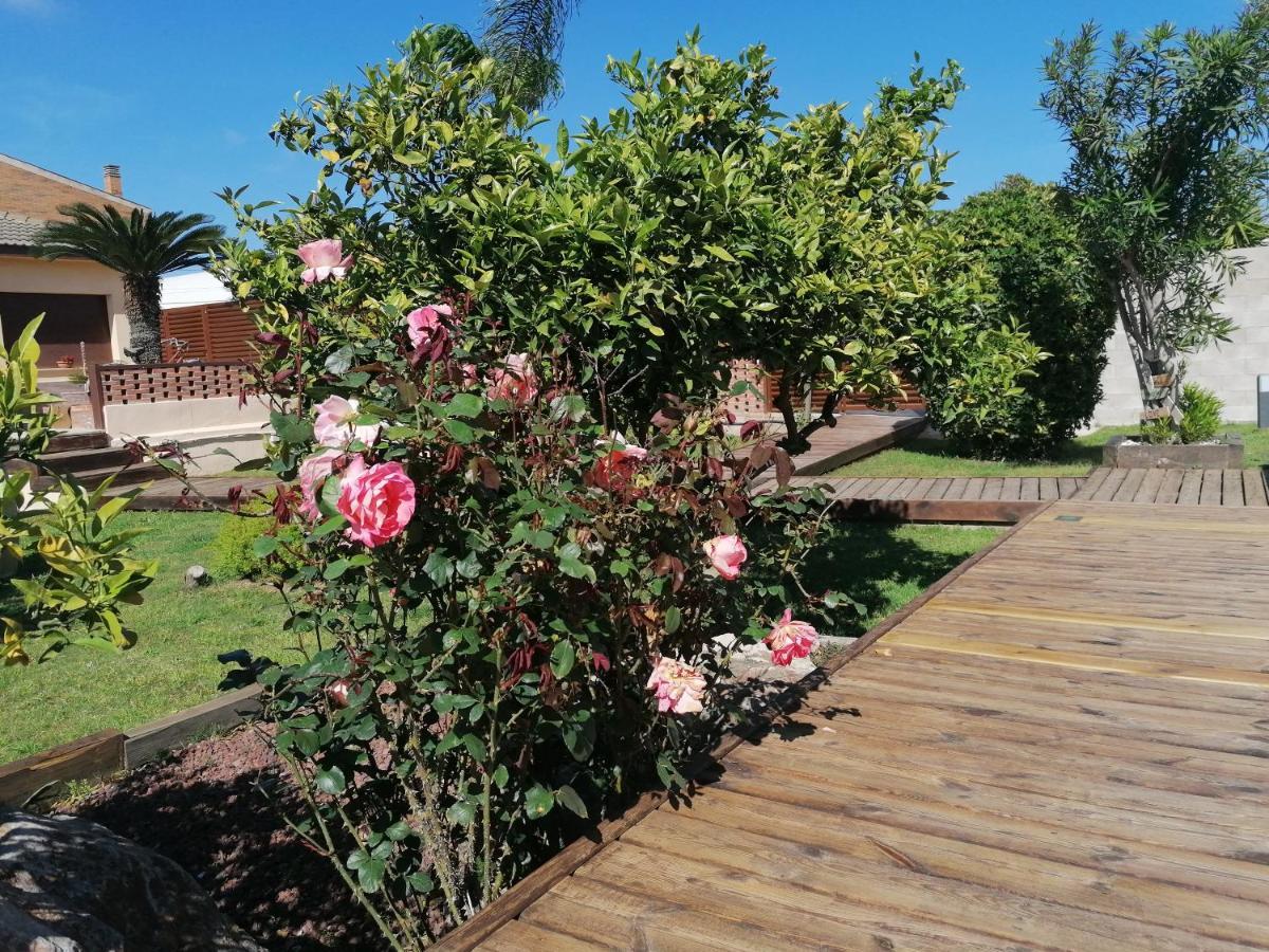 Villa Paquita - Delta De L'Ebre Deltebre Luaran gambar